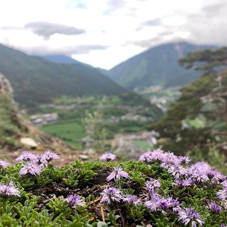 Maians - Peu Del Riu 122 - Vall D'Incles - Soldeu Bagian luar foto